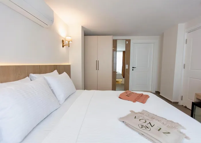 Zenoa * 阿拉恰特